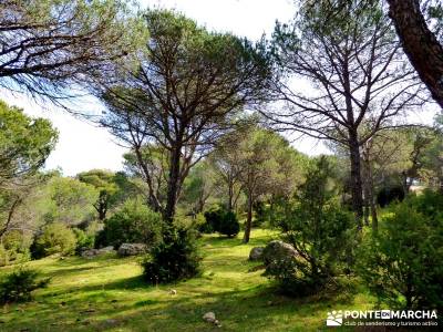 Cebreros - La Merina, Atalaya de ensueño - viajes senderismo madrid;turismo rural turismo madrid